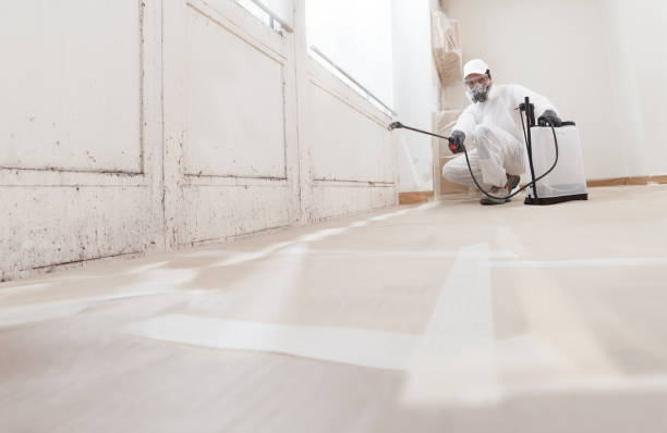 Black mold remediation team in Mine Hill